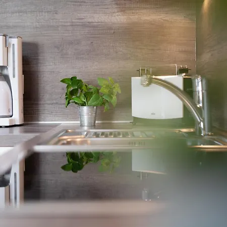 Buergermeister-fox 44a Brise * Fehmarn